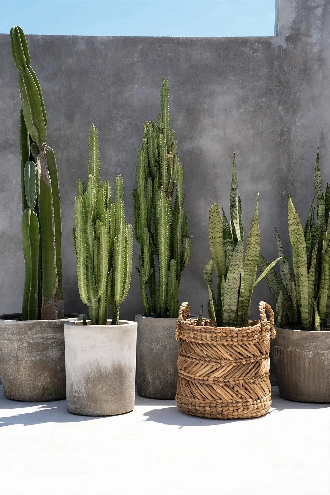 Panier de rangement cylindrique en feuilles de bananier tressées naturel – H34 cm