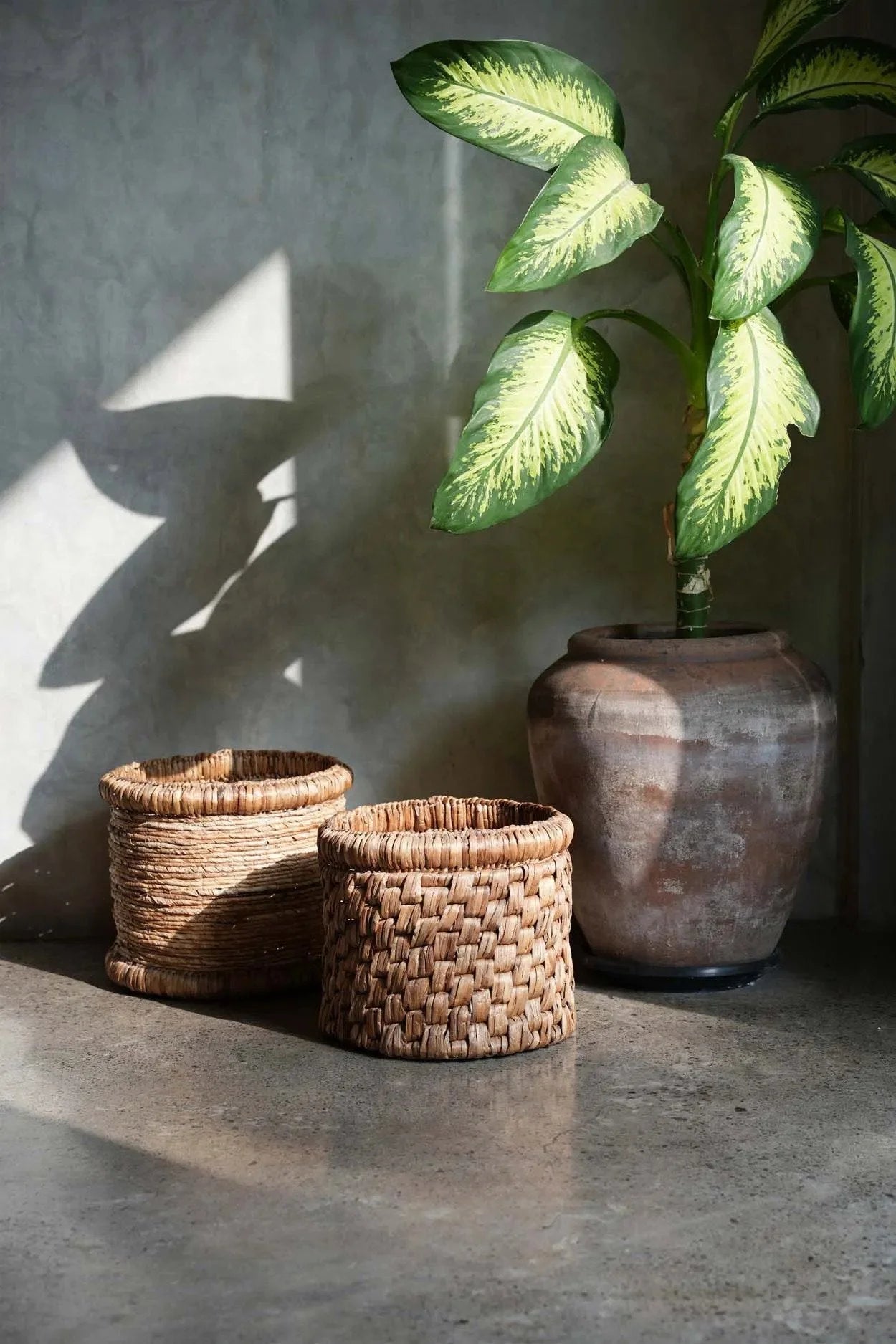 Panier de rangement rond en jacinthe d’eau tressée avec plante en pot naturel