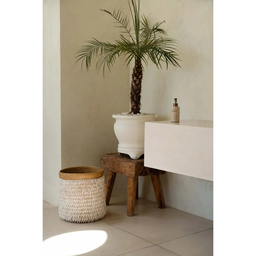 Palmier datte en pot blanc dans un panier de rangement en pandan et coquillages