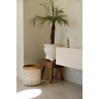 Palmier datte en pot blanc dans un panier de rangement en pandan et coquillages