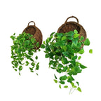 Panier mural en osier pour plantes