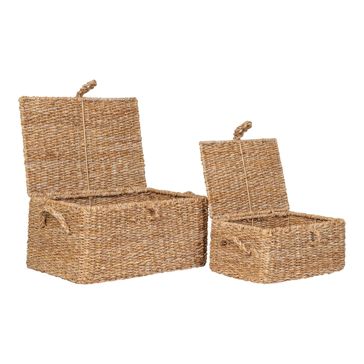 Paniers de rangement rectangulaires en jonc tressé naturel avec couvercle – Set de 2