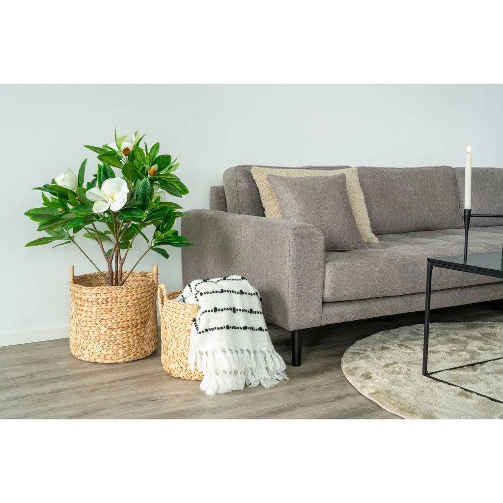 Panier rond en jacinthe d’eau naturelle avec plante fleurie blanche