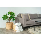 Panier rond en jacinthe d’eau naturelle avec plante fleurie blanche