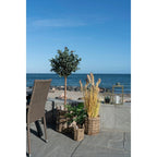 Paniers ronds en rotin naturel avec poignées, set de 3, contenant feuillage vert et blé doré