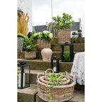 Panier rond en rotin tressé gris avec anses, lierre vert dedans