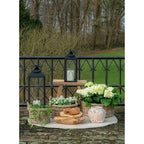 Deux lanternes en métal noir avec bougies blanches sur support en bois