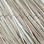 Reed dried and bundled for Le pendentif maléfique Naturel illustration