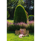 Trois paniers en rotin avec une couverture rose saumon dans un jardin coloré