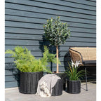 Vase en rotin noir avec plantes et chaise assortie, parfait pour la décoration intérieure