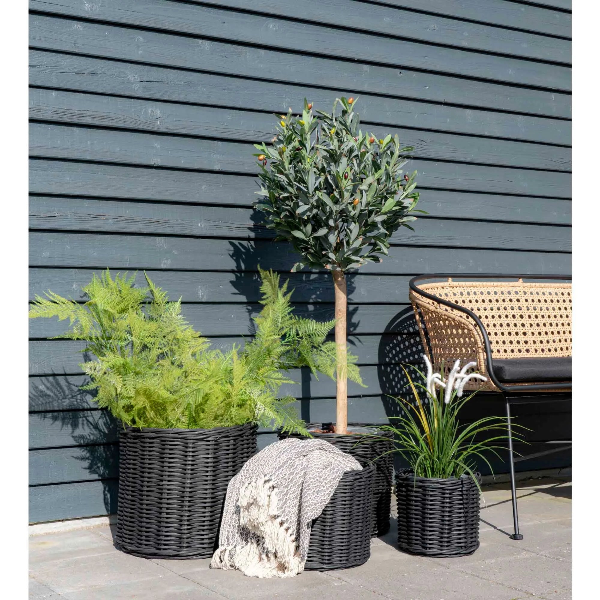 Vase en rotin noir avec plantes et chaise assortie, parfait pour la décoration intérieure