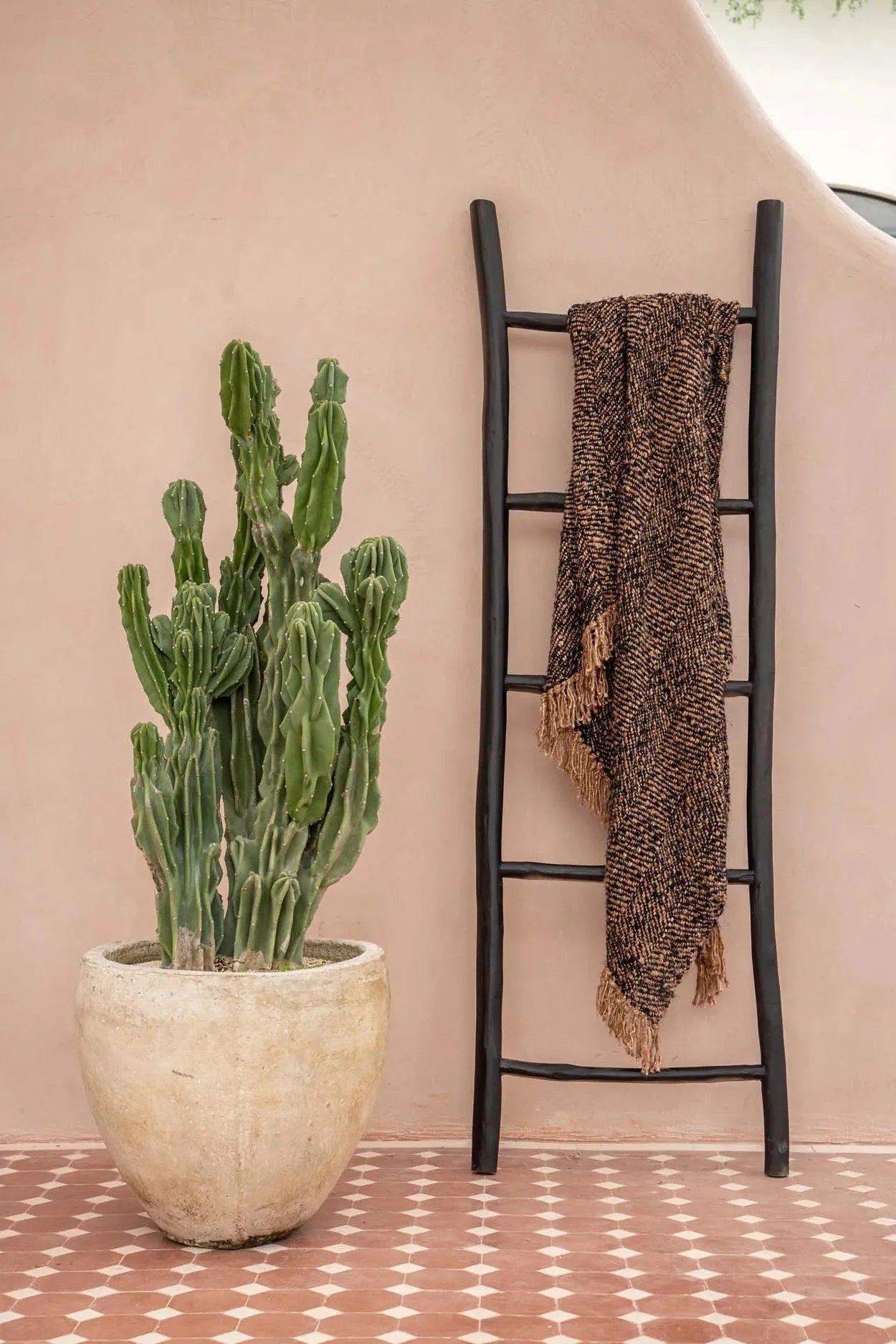 Cactus vert à plusieurs tiges dans un pot texturé clair pour la décoration intérieure