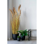 Plante graminée artificielle plumeaux beige en pot noir H110 cm
