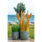 Deux pots gris texturés avec herbe verte et graminées dorées plumeaux beige H110 cm