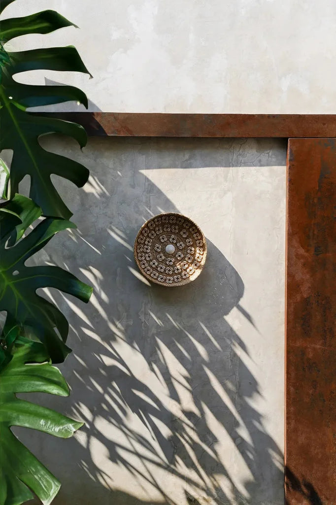 Plaque de coquillage décorative Caribe Blanc naturel M 40 pour mur intérieur