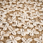 Motif floral en coquillages Cowrie pour La plaque de coquillage Costa Blanc naturel M_40