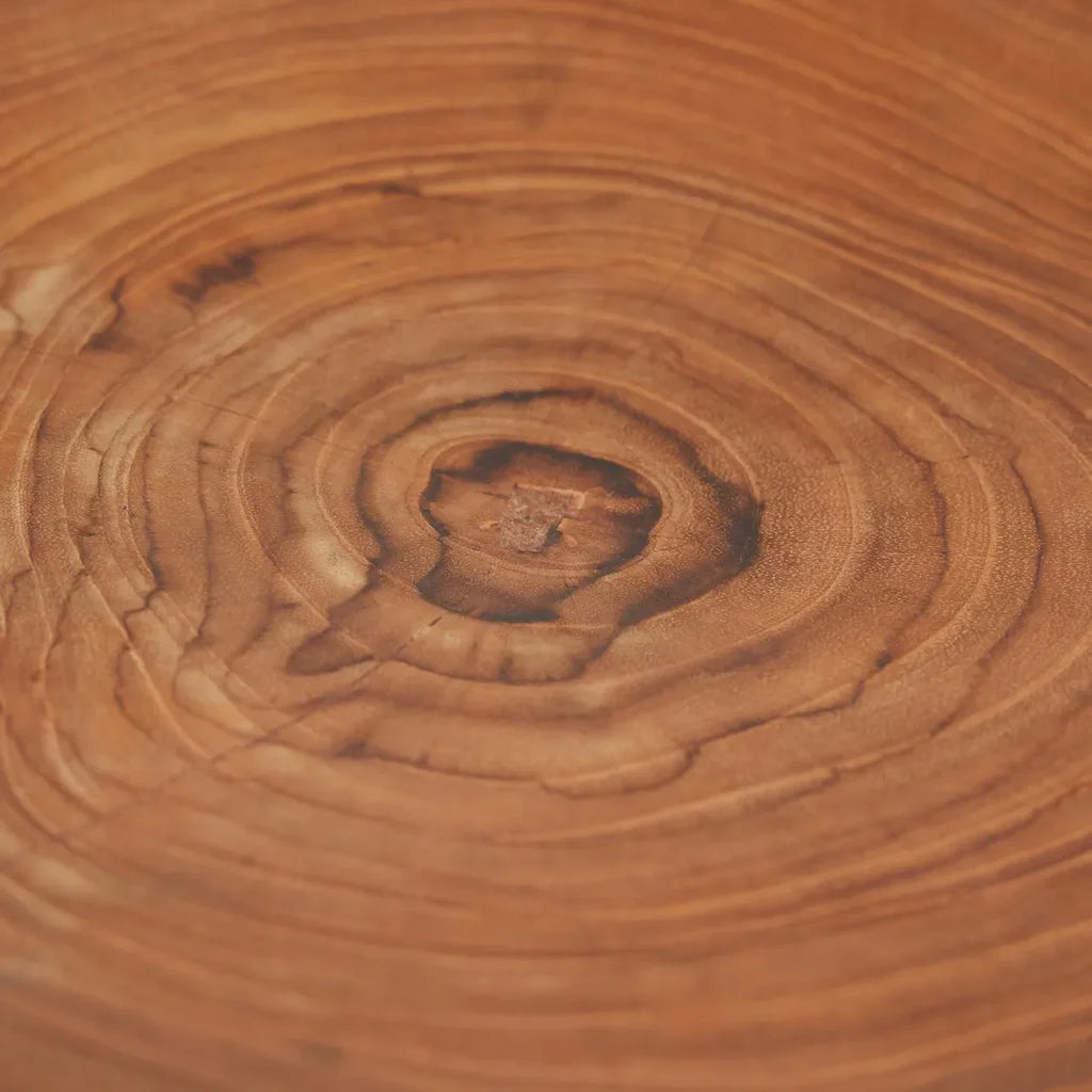 Surface en bois avec anneaux concentriques pour La plaque organique en racine de teck