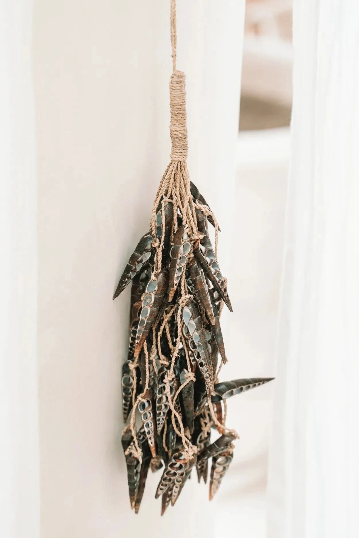 Gros plan d’un bouquet suspendu de piments secs pour le produit Pompon en coquillages naturels marron formen grappes suspendues