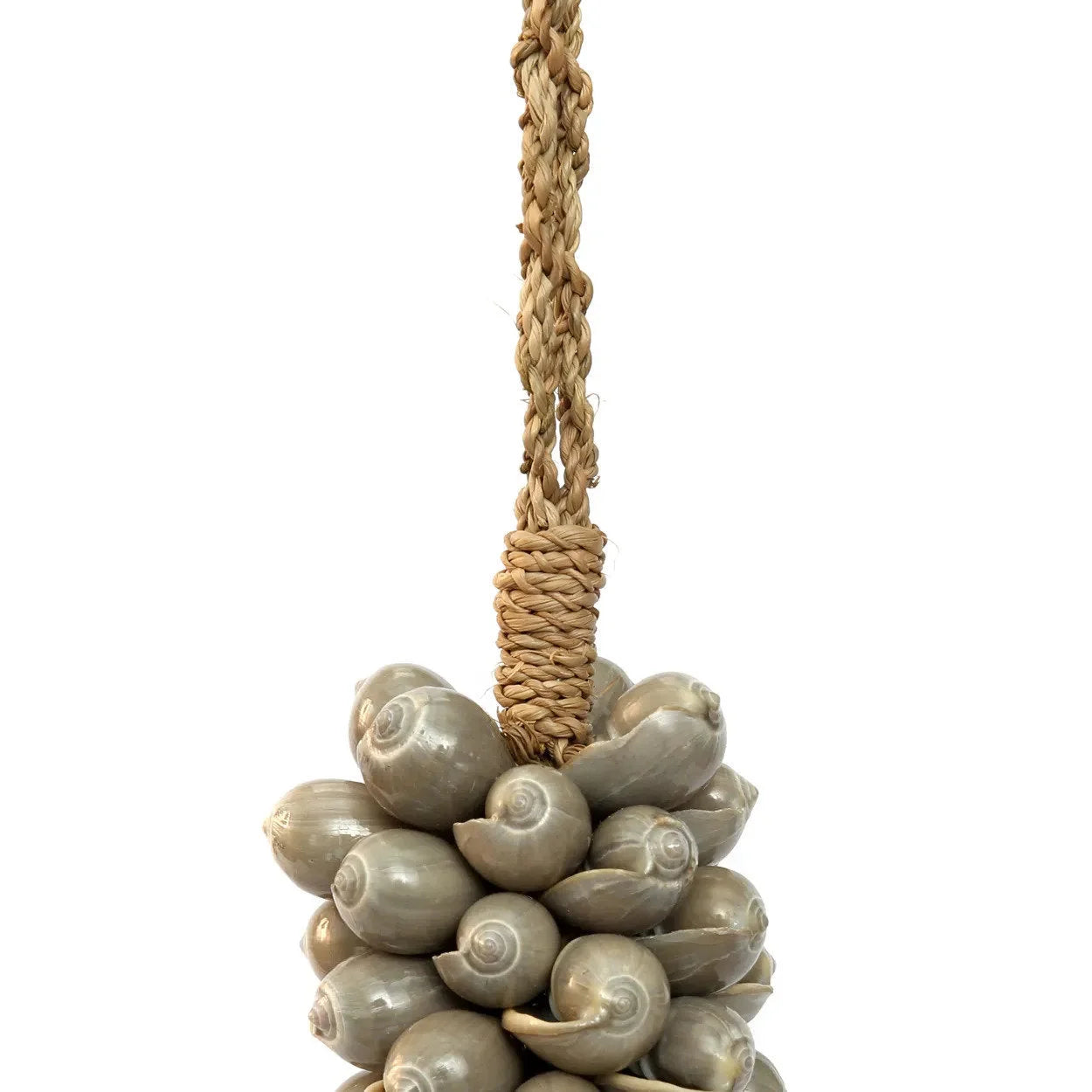 Grappe d’escargots de mer gris sur un porte-rouleau en corde tressée pour décoration