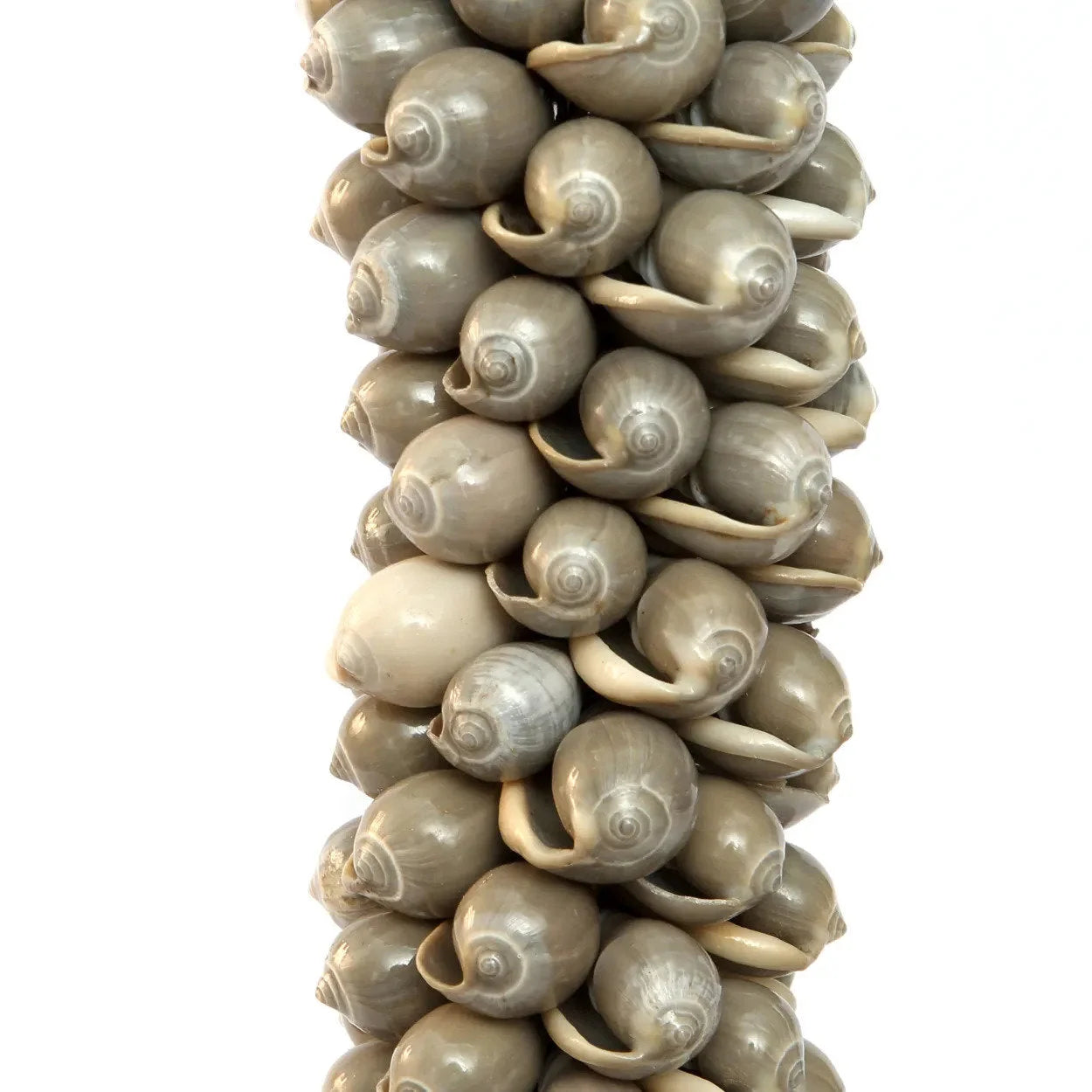 Pile verticale de coquillages en spirale couleur beige clair pour le mural Pompon en coquillages et coton gris perle