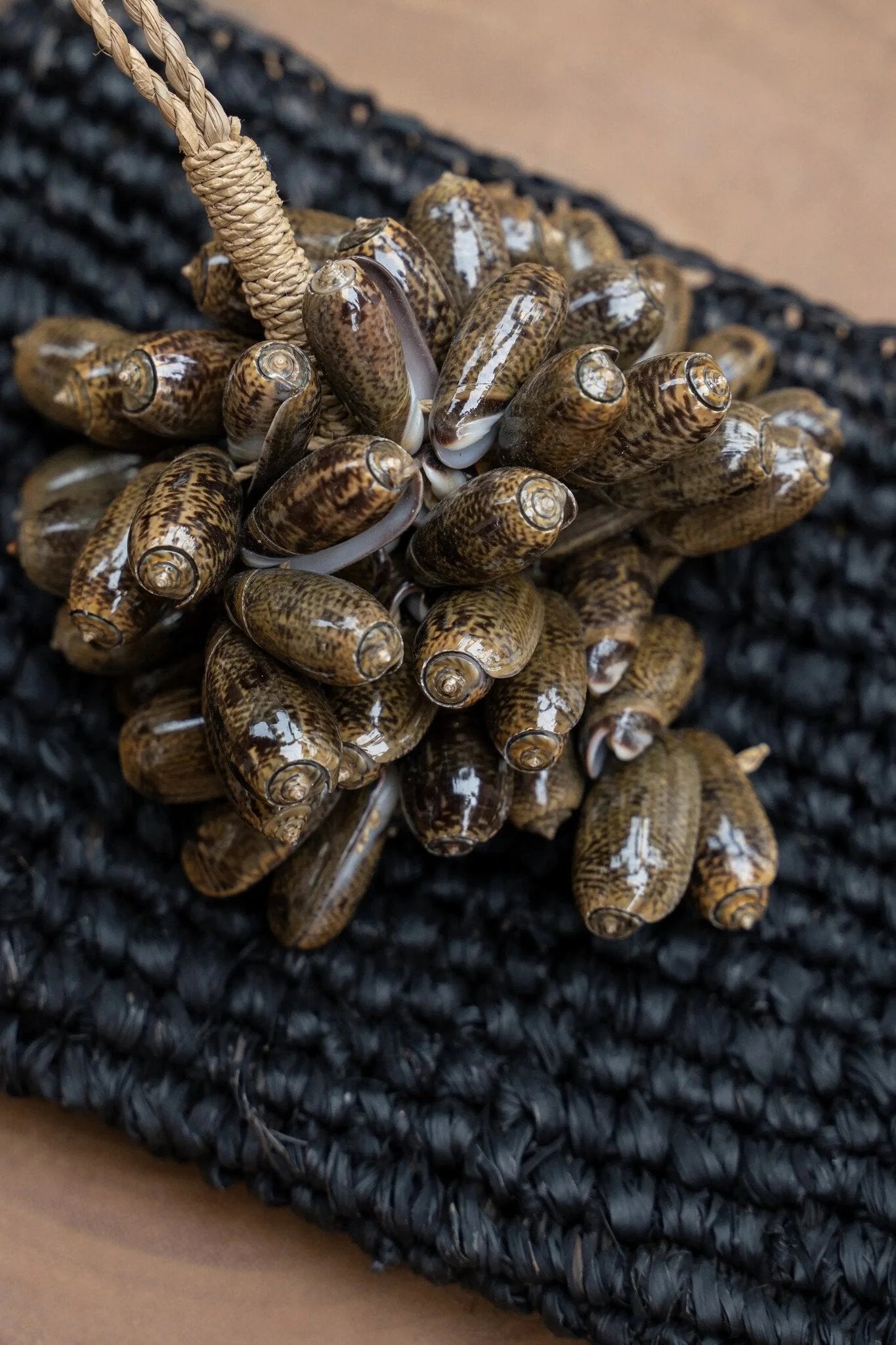 Cluster de coquillages naturels marron et tan liés avec de la twine pour décoration intérieure