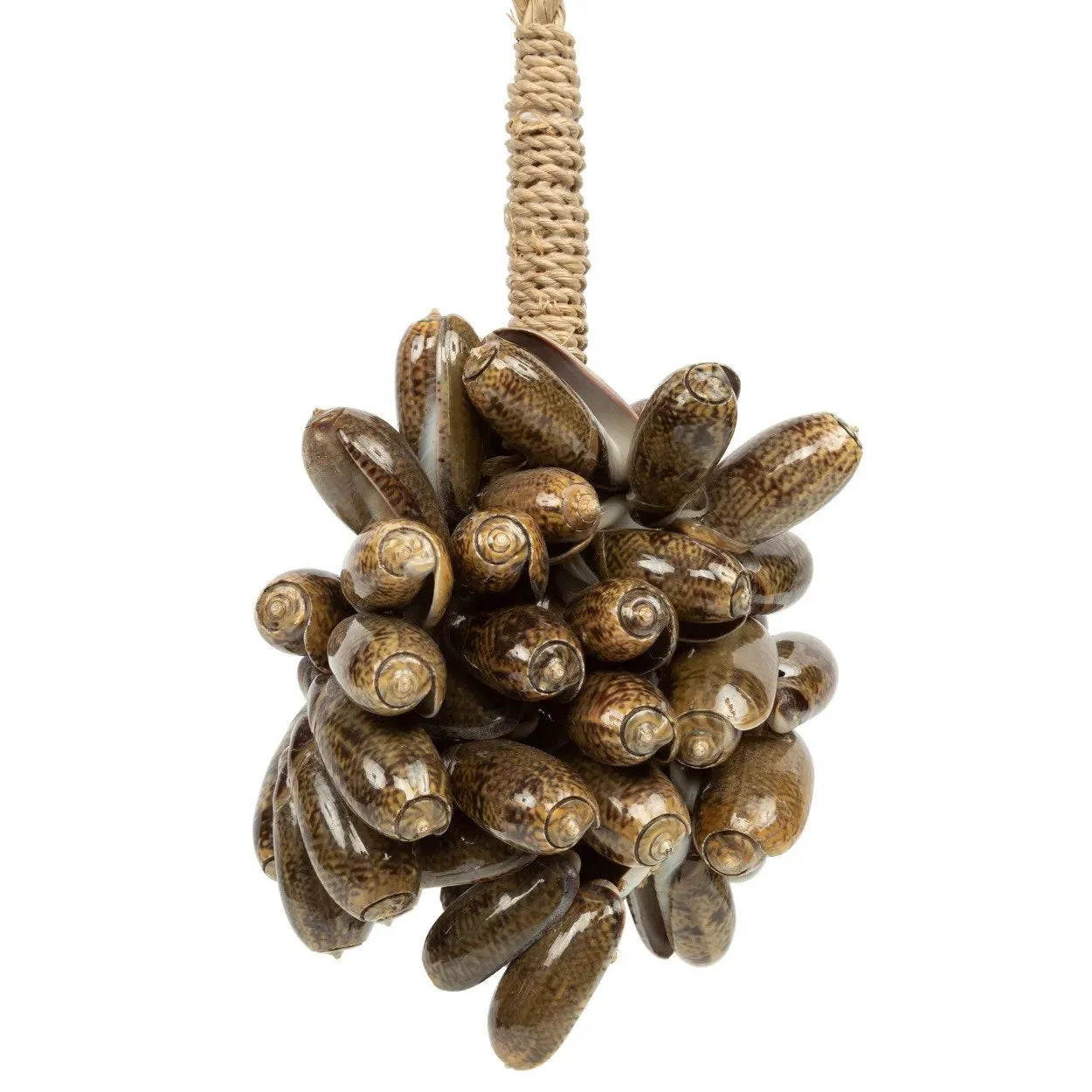 Grappe suspendue de coquillages naturels marron pour décoration murale ou rideau