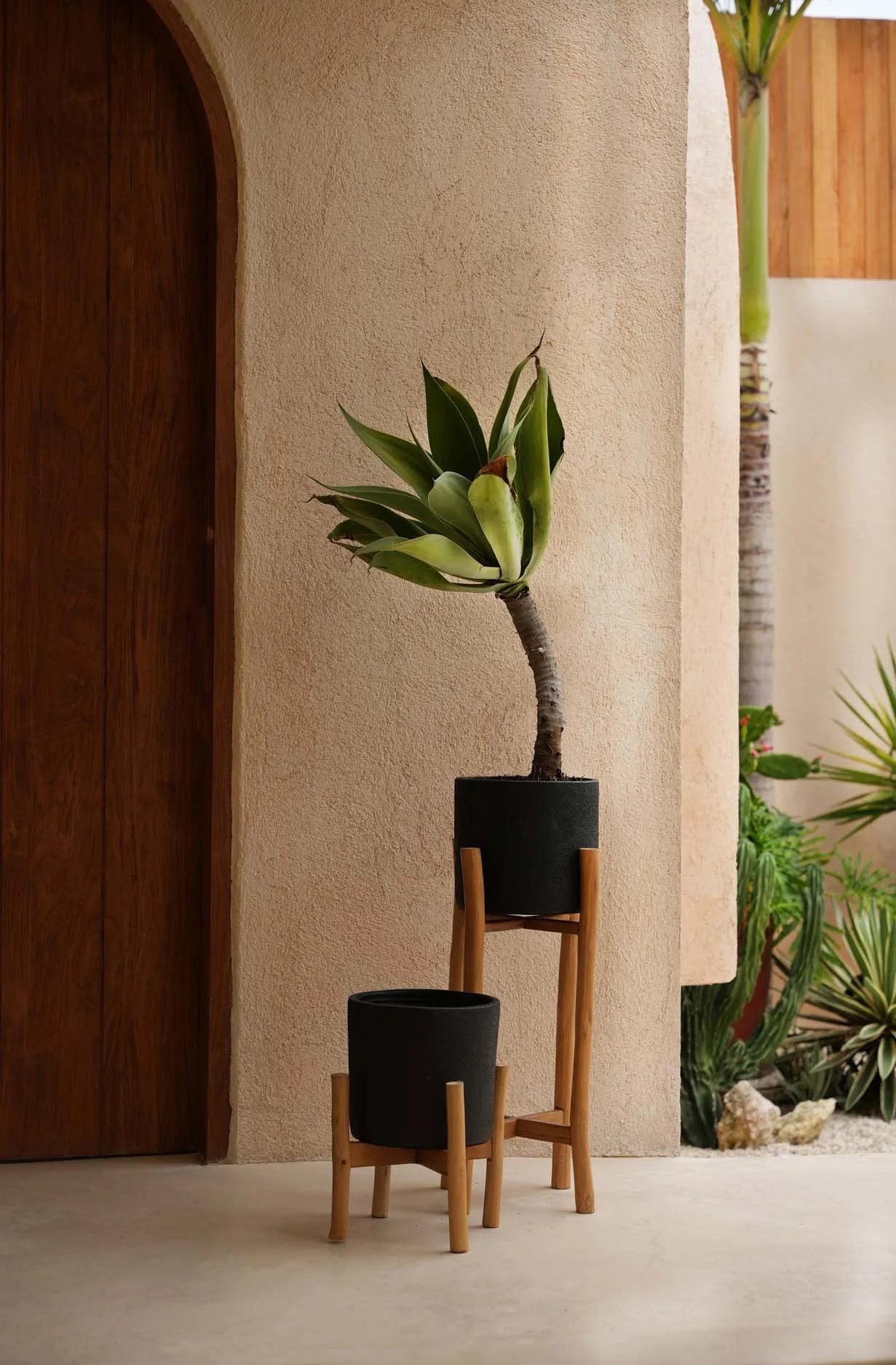 Support de plantes à deux niveaux en bois naturel avec pots en terre cuite noires