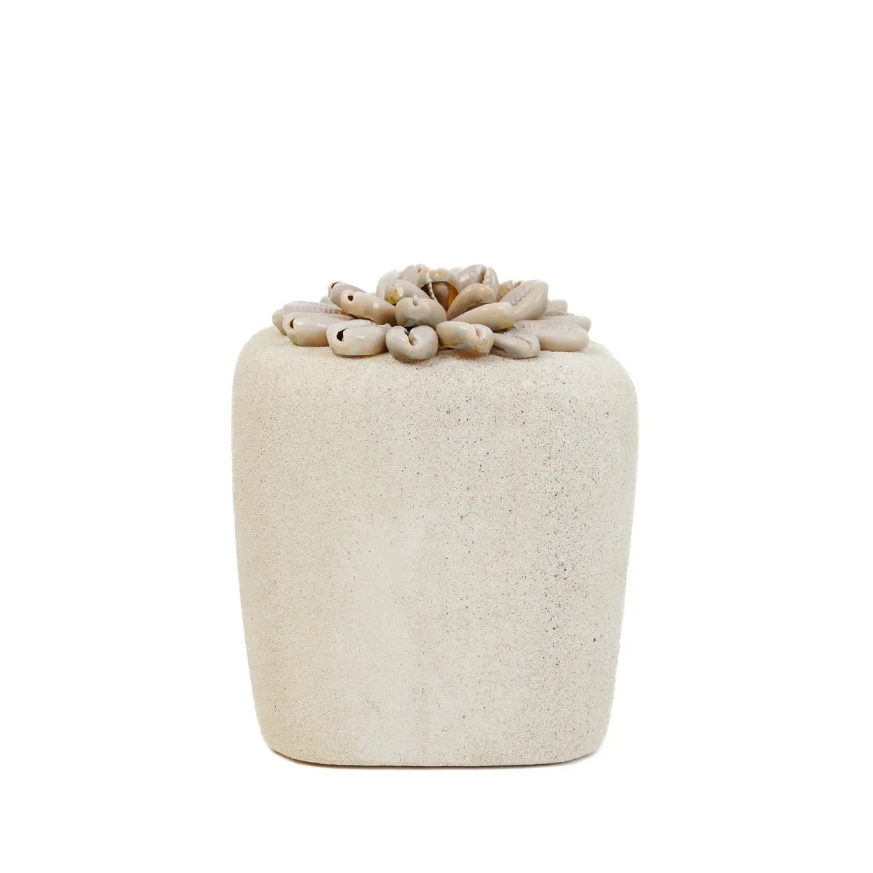 Pot décoratif en céramique beige avec plante grasse pour Statue en grès blanc 11 cm