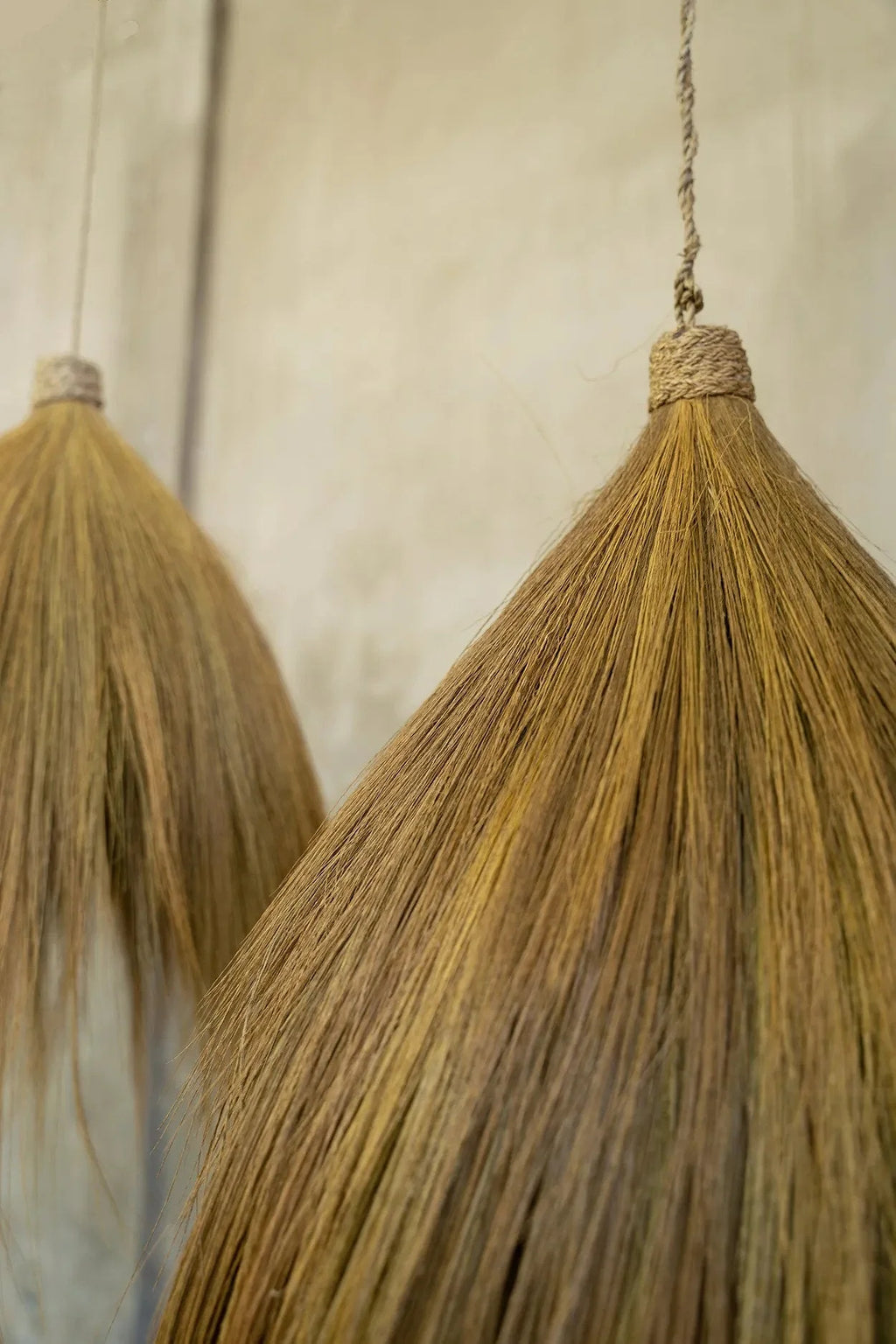 Balais coniques en herbe de Rayung avec poignées en corde tressée, beige, H85 cm