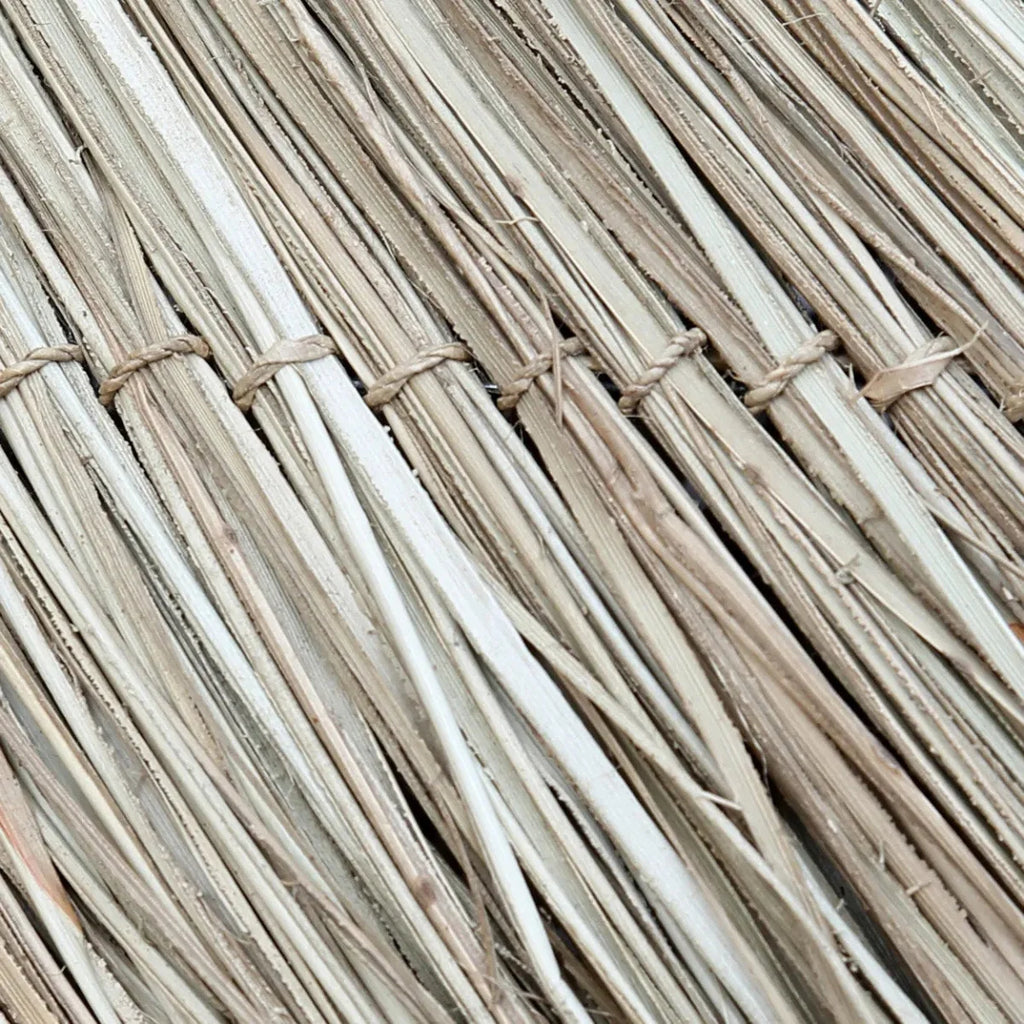 Bundles de feuilles de palmier séchées naturelles pour décoration ronde avec bords effilochés