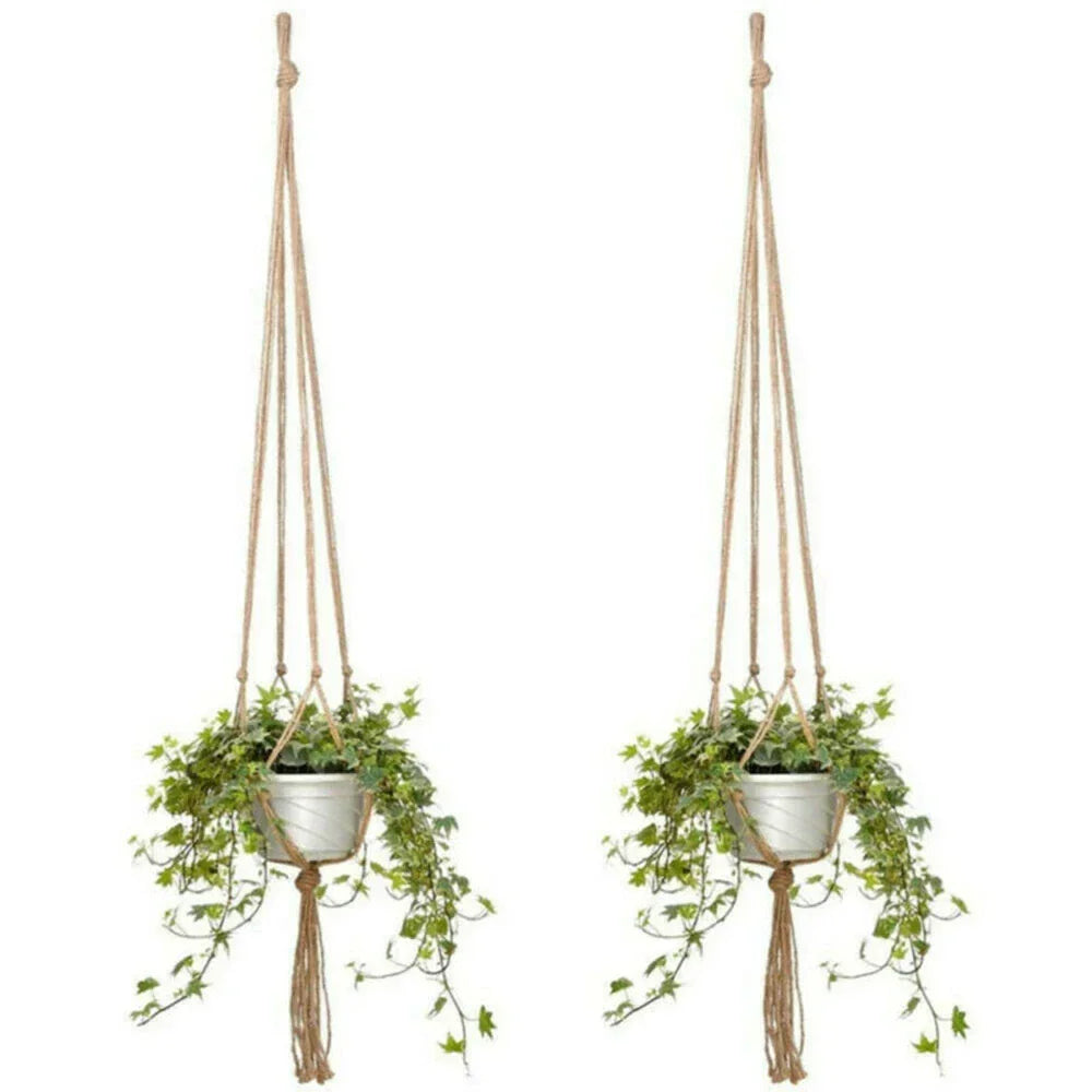 Deux plantes en pot suspendues dans un macramé en corde pour plantes en lot de 6