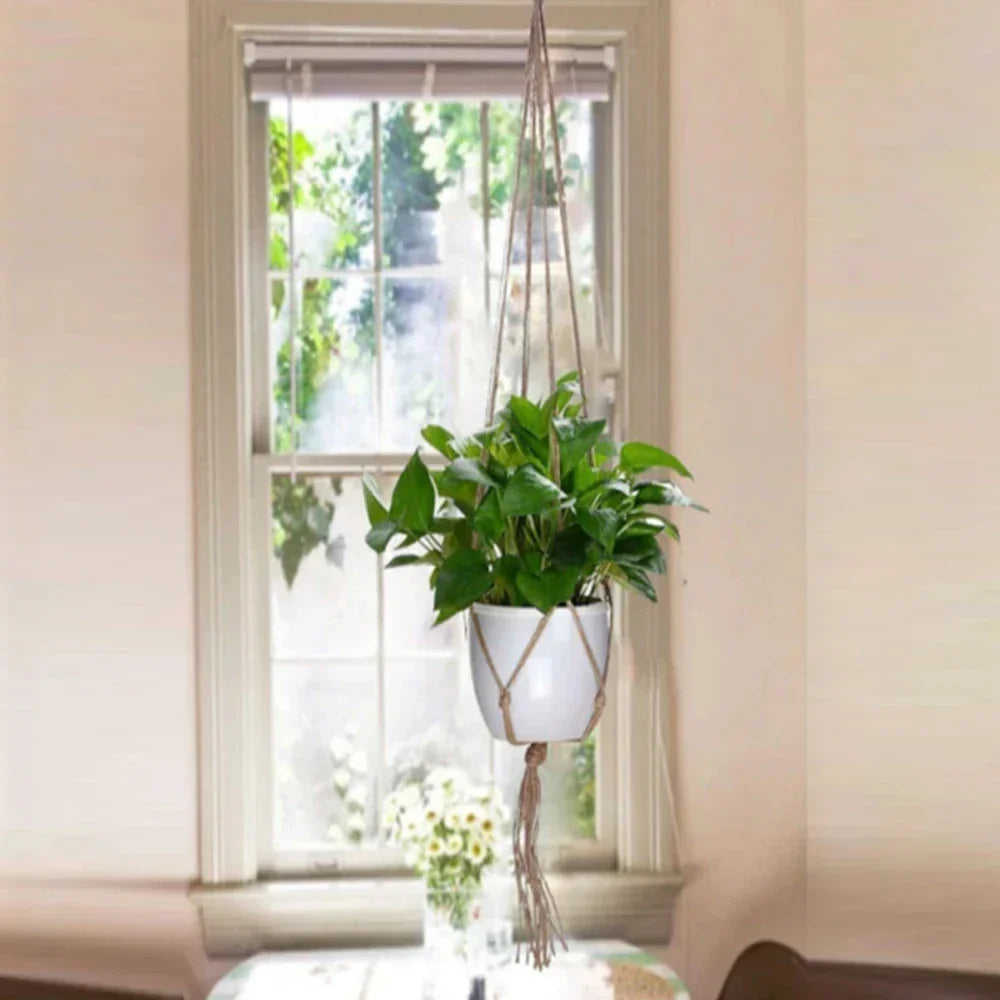 Plante suspendue en macramé en corde pour décoration intérieure élégante