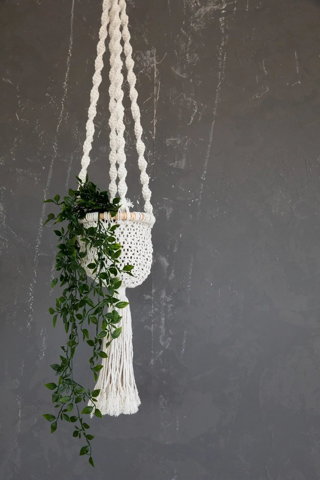 Suspension murale macramé torsadé coton blanc naturel avec plante traînante