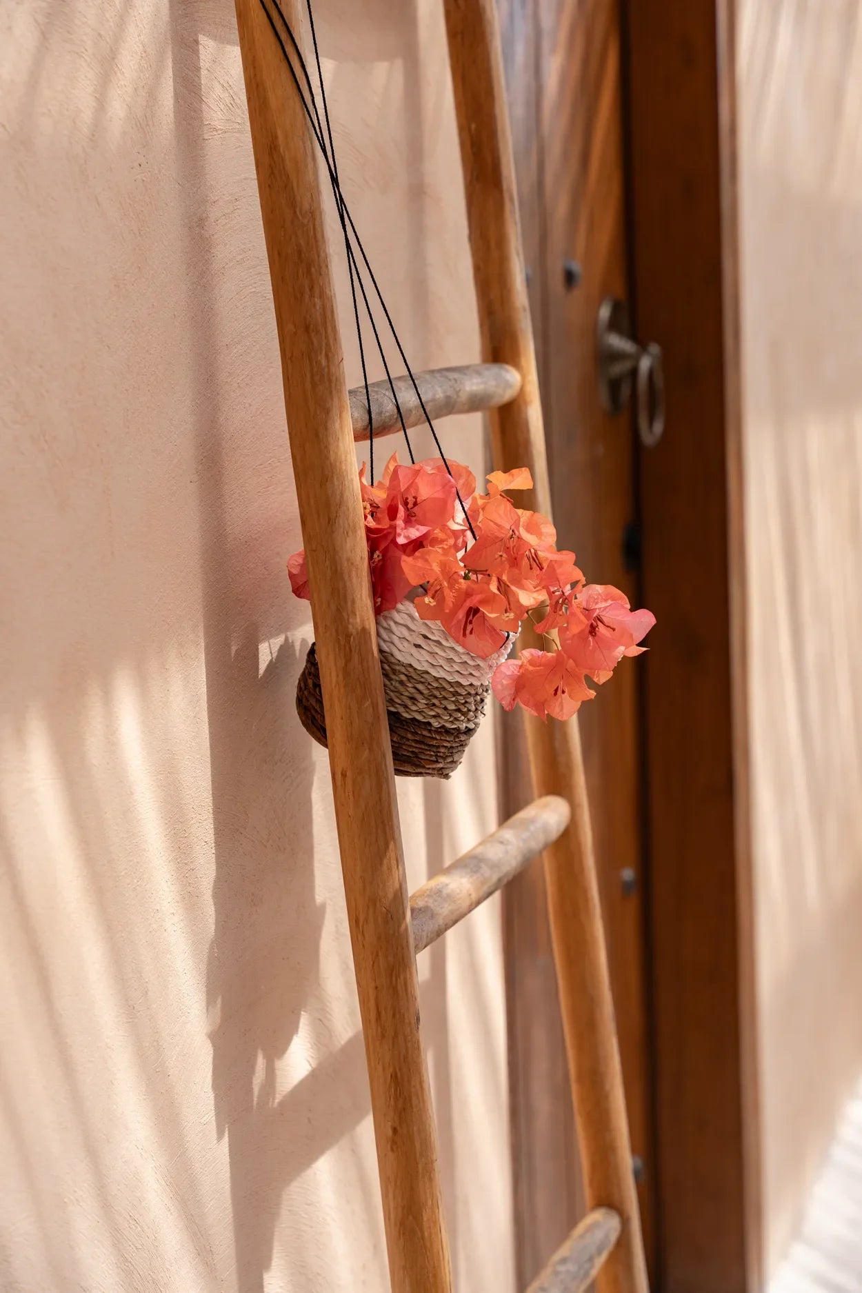 Échelle décorative en bois avec fleurs suspendues pour Suspension plante en feuilles de bananier blanc et jonc de mer