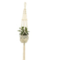 Suspension plante macramé en corde blanche avec plante en pot pour décoration intérieure
