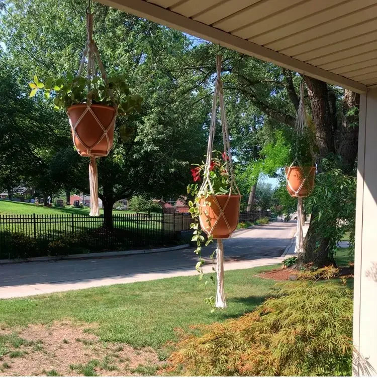 Plantes suspendues en pot dans une suspension macramé en corde blanche