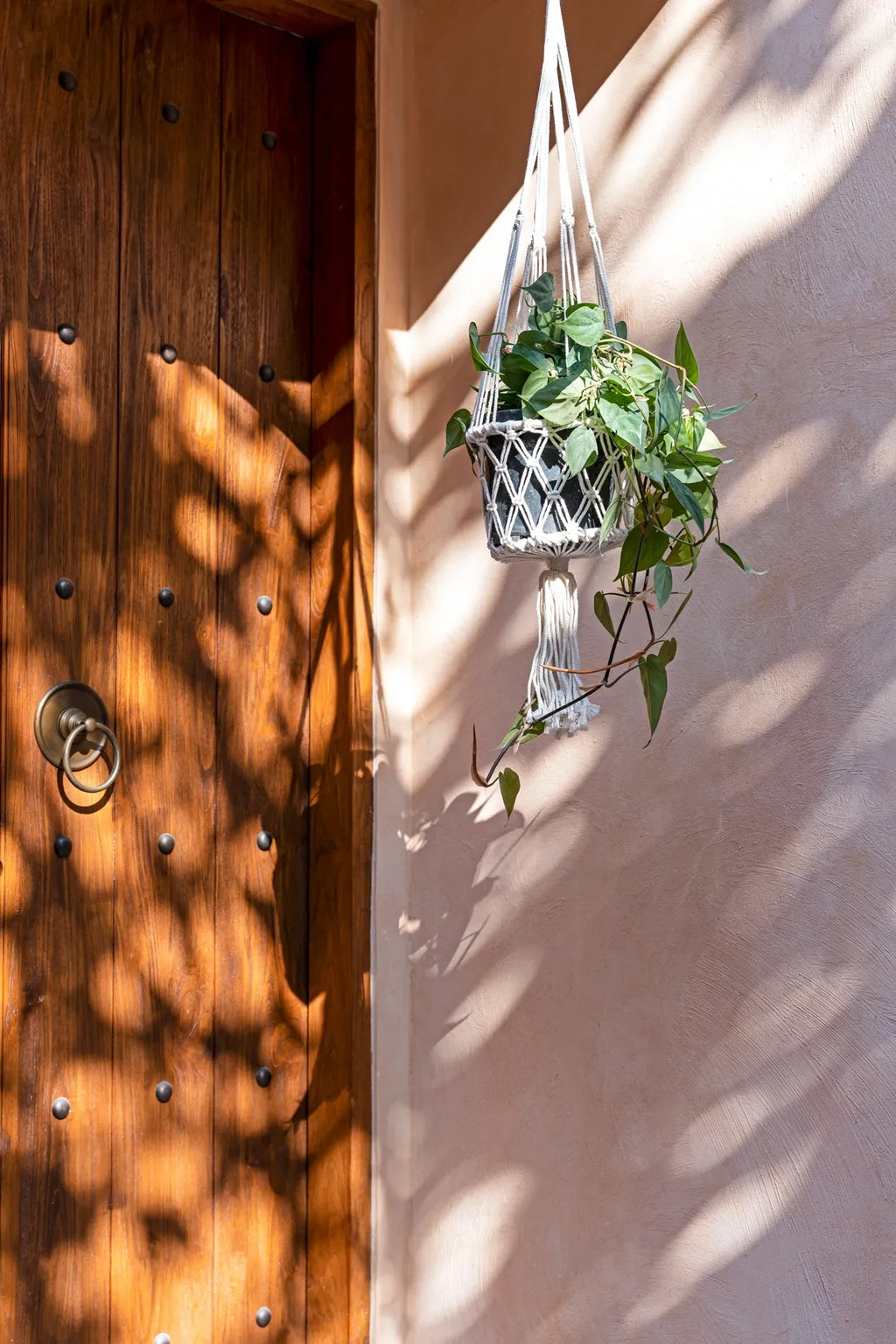 Support en macramé coton blanc avec plante verte suspendue et pompon décoratif