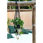 Plante verte luxuriante dans un macramé noir suspendu en coton cylindrique H100 cm