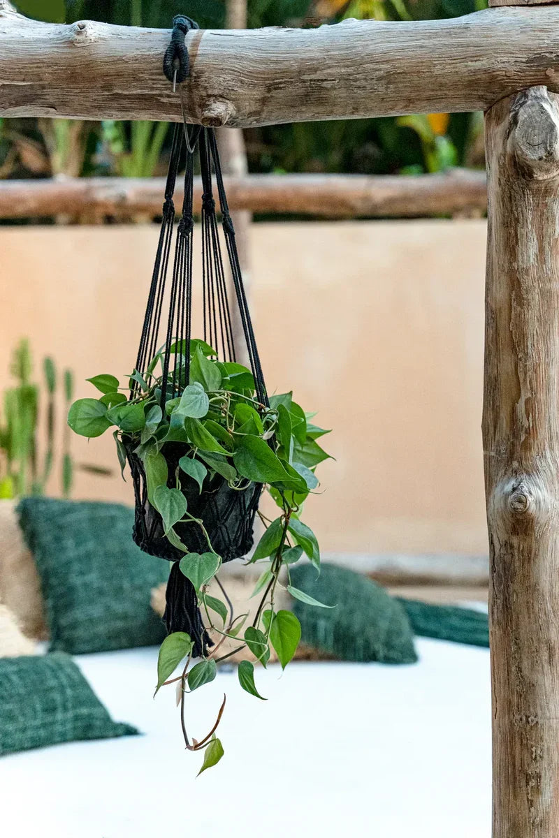 Plante suspendue en macramé noir cylindrique H100 cm pour décoration intérieure