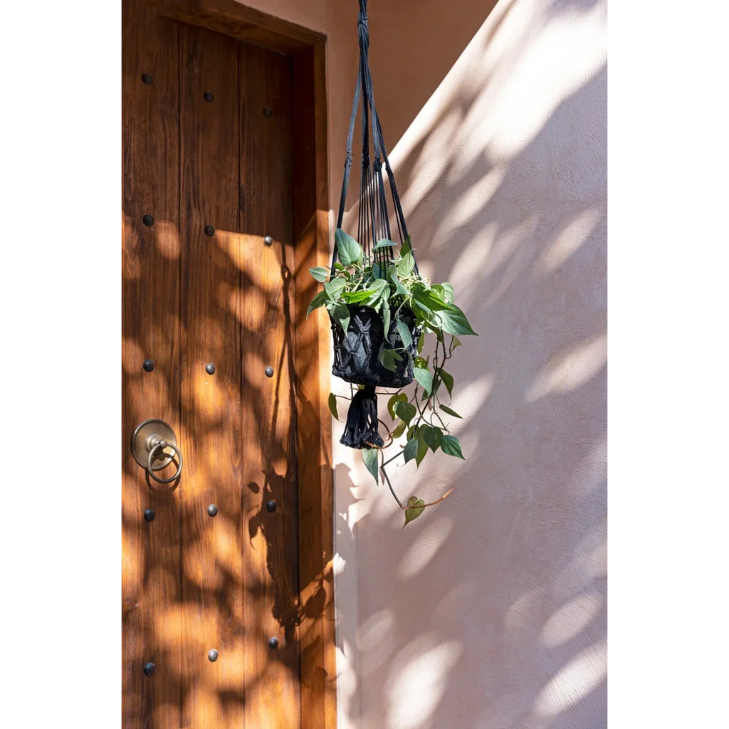Suspension plante en macramé coton noir avec franges et feuillage vert suspendu