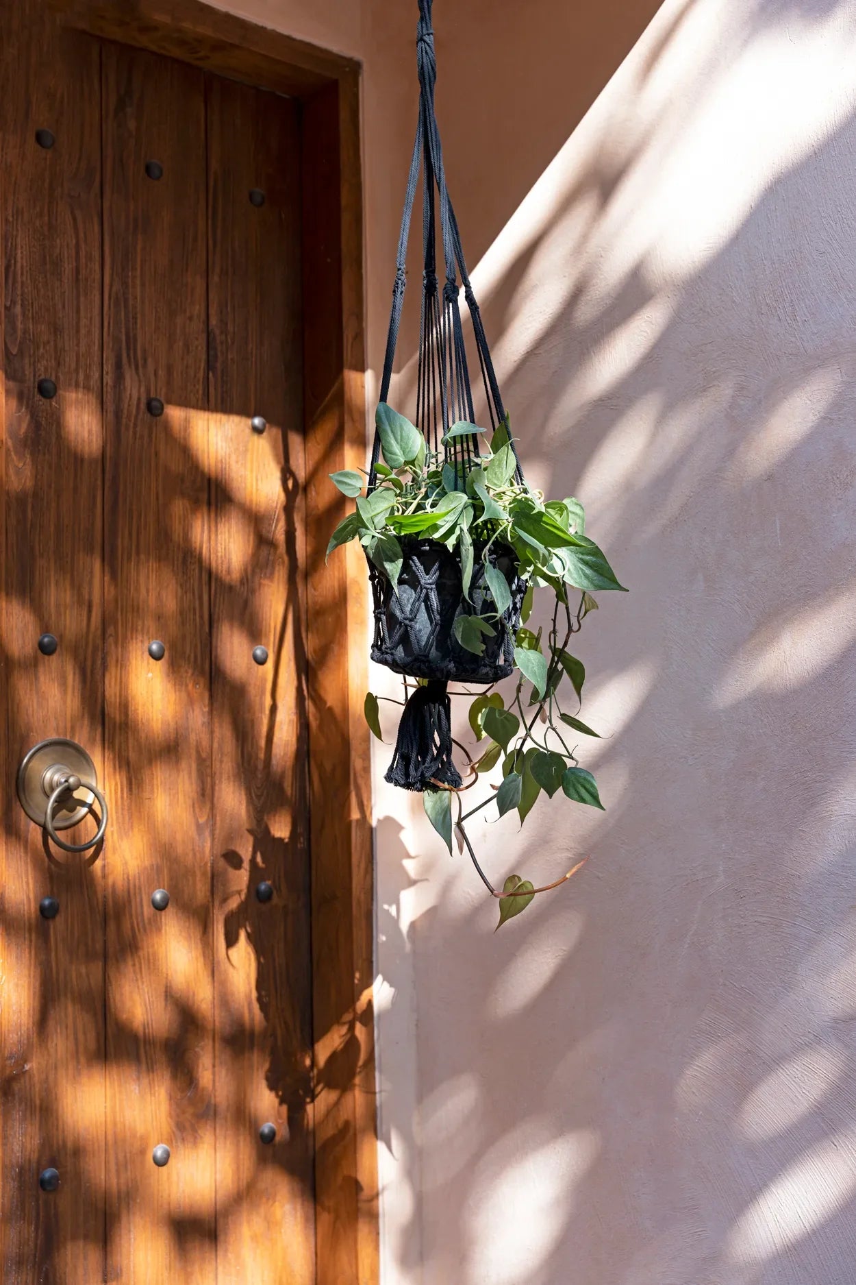 Plante suspendue en macramé coton noir avec franges, hauteur 110 cm