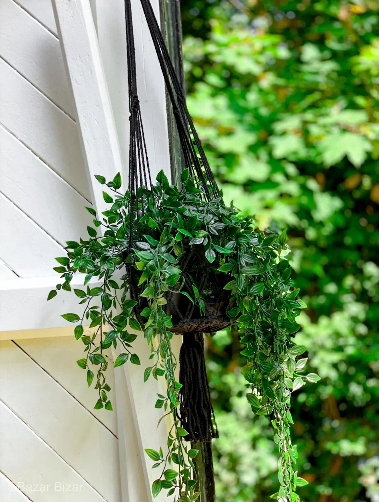 Plante suspendue avec des vignes tombantes dans un macramé en coton noir avec franges