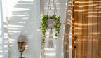 Hanger en macramé en coton torsadé blanc naturel avec verdure suspendue