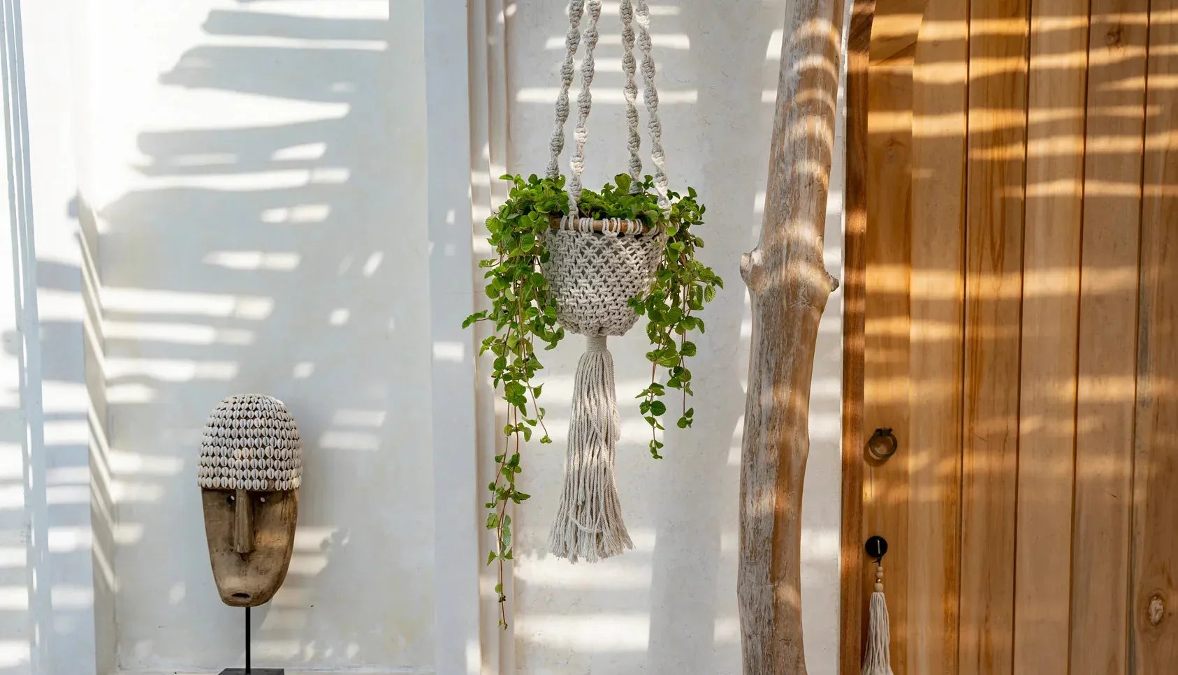 Hanger en macramé en coton torsadé blanc naturel avec verdure suspendue
