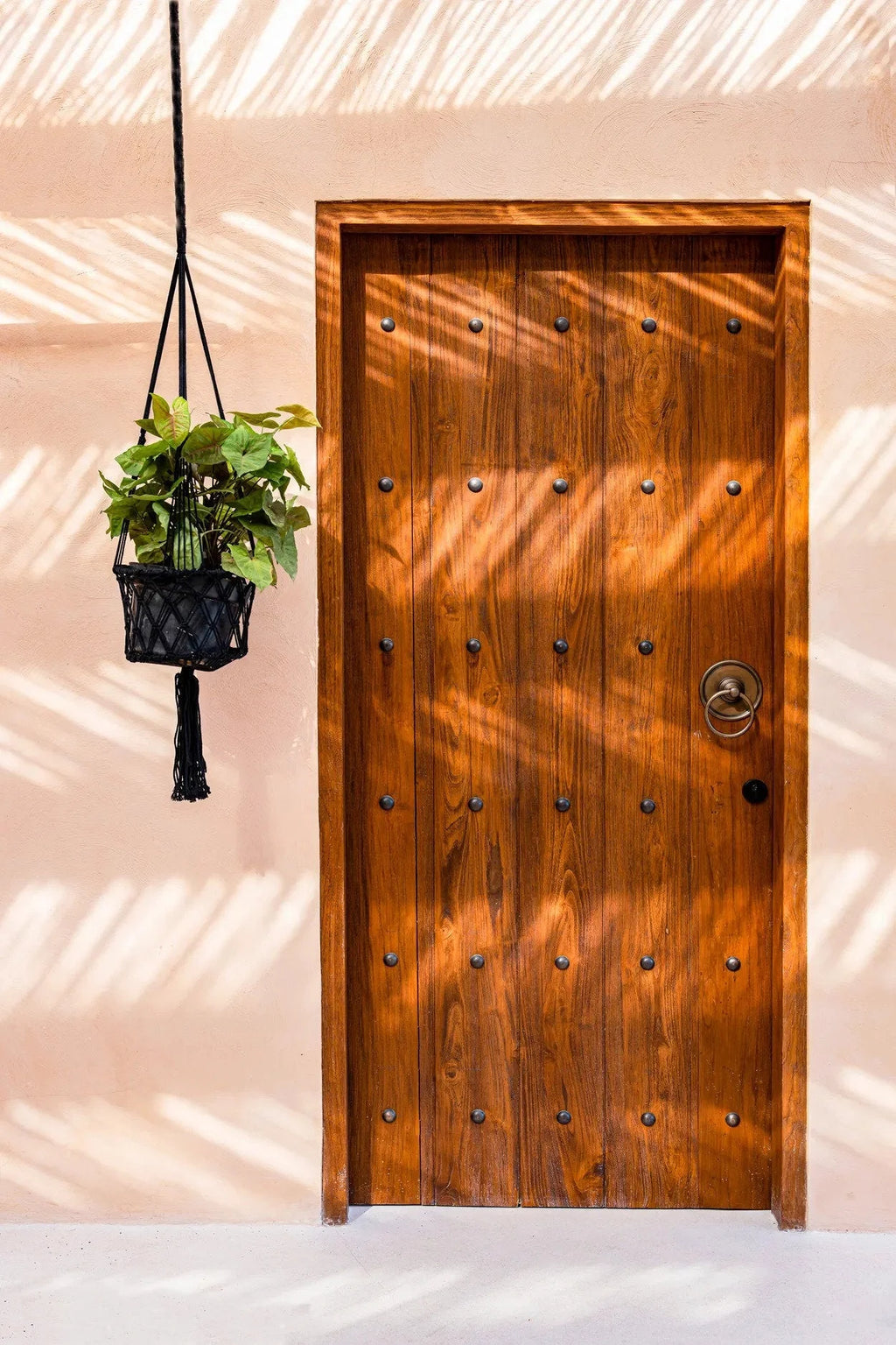 Porte en bois avec clous métalliques, anneau circulaire et plante suspendue en macramé noir