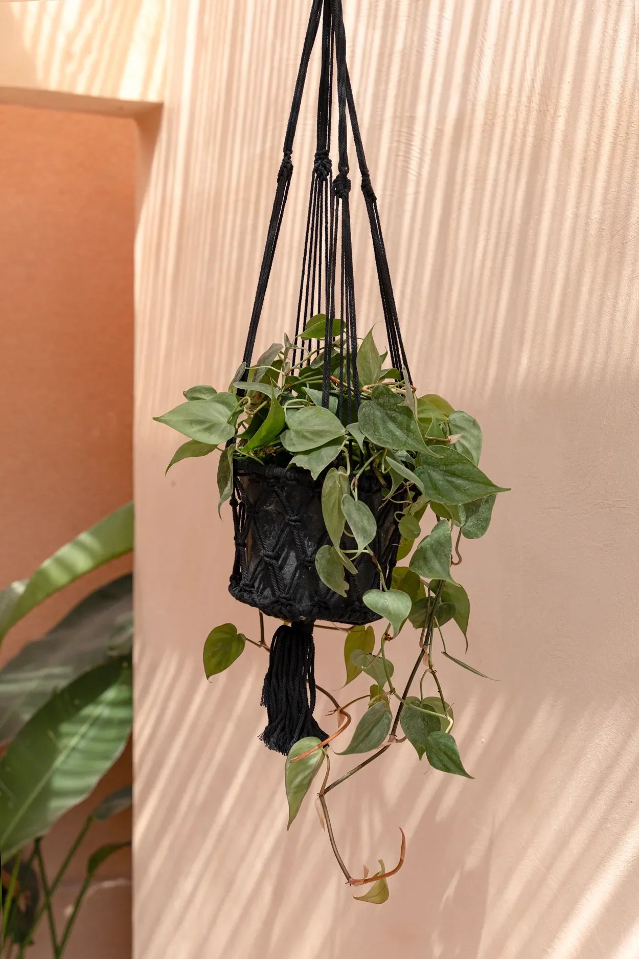 Plante en pot suspendu en macramé noir en coton avec franges, H100 cm