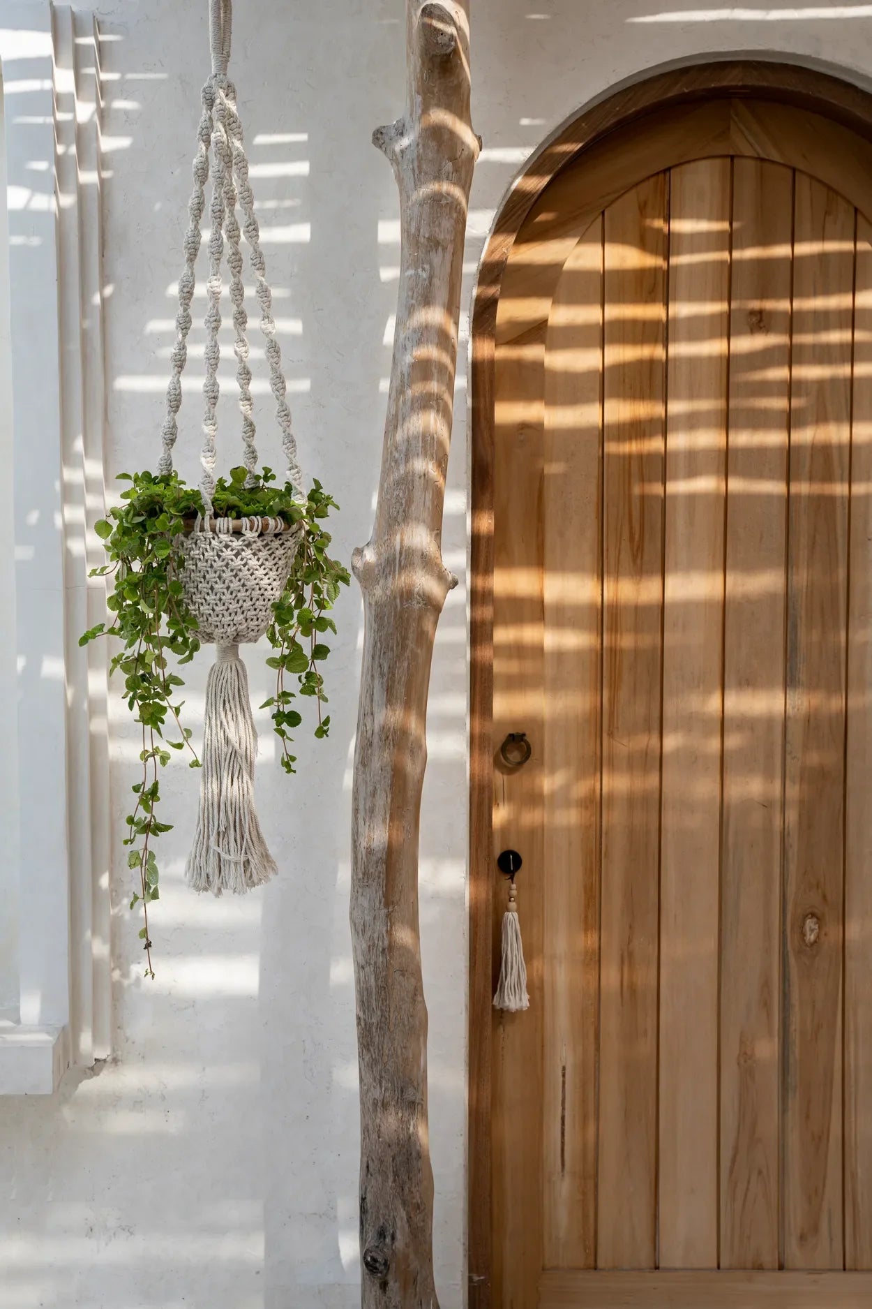 Support de plante en macramé torsadé en coton blanc naturel, H135 cm