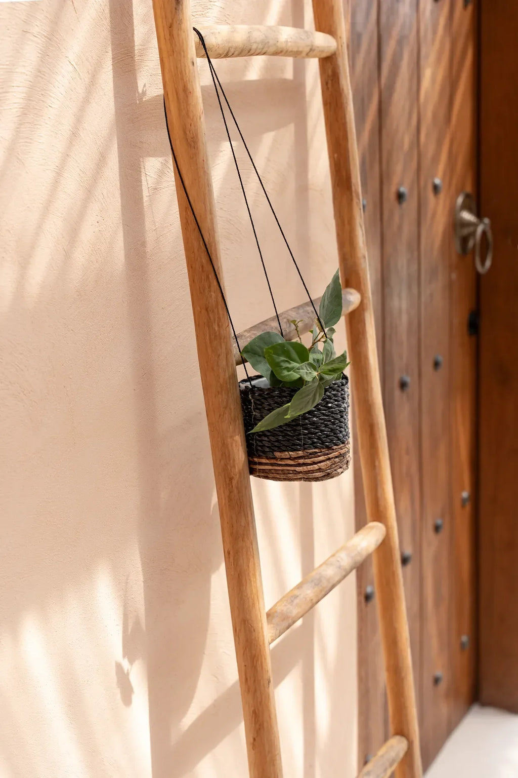 Échelle en bois avec plante suspendue dans le porte-plante ronde en feuille de bananier tressée noire