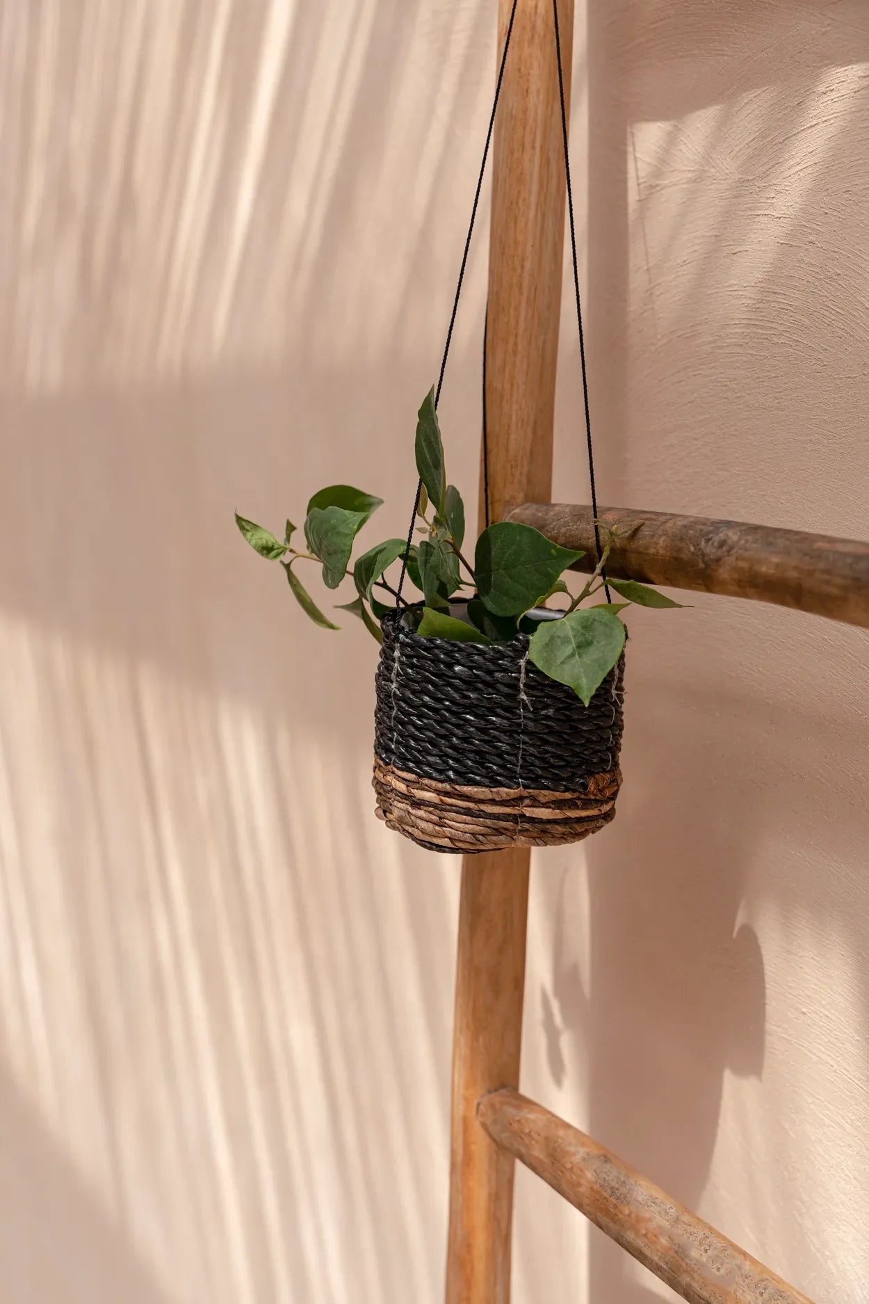 Pots de plantation suspendus en feuilles de bananier tressées noires avec des plantes vertes