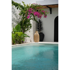 Piscine de jardin avec eau turquoise claire dans un environnement extérieur élégant